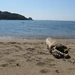 Gli Oleandri *